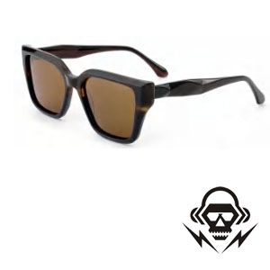 Lady Acetate Sunglasses Prada Style of Luxury Collection -FOCUS-HM264.pdf